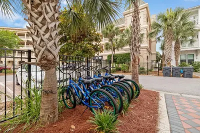 a row of blue bikes parked next to a tree at 69 E Trigger Trail by 30A Escapes in Rosemary Beach