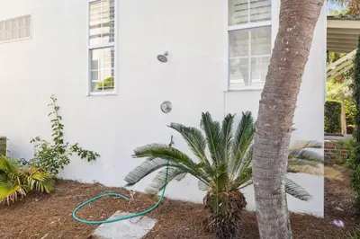 a house with a hose next to a palm tree at Resting Beach Place in Inlet Beach