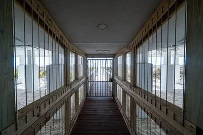 a hallway with glass windows in a building at Edgewater Oasis Gorgeous Resort Condo on Beach in Panama City Beach