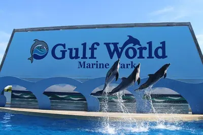 a group of dolphins playing in the water at a pool at Luxe Gulf Front View with Free Beach Chairs, Balcony, & Resort Amenities in Panama City Beach