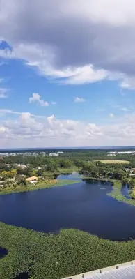 an aerial view of a large lake with trees and bushes at Romantic Beachfront Sunsets in Panama City Beach