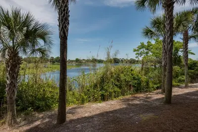 a view of a river from between two palm trees at Sterling Breeze 1207 by Emerald Coast Retreats in Panama City Beach