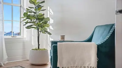 a plant in a white vase next to a chair at Village of SoWal B483 in Rosemary Beach