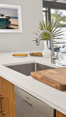 a kitchen counter with a sink and a potted plant at Seagrove Surf Shack in Santa Rosa Beach