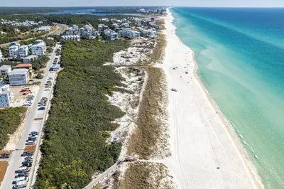 an aerial view of a beach and the ocean at Salty Sons in Inlet Beach