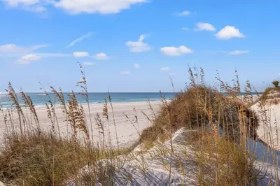 a sandy beach with tall grass and the ocean at Commodore 0201 in Panama City Beach