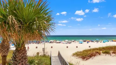 a palm tree in front of a beach with people at Luxury 2BR Beachfront Condo - Panama City Beach in Panama City Beach
