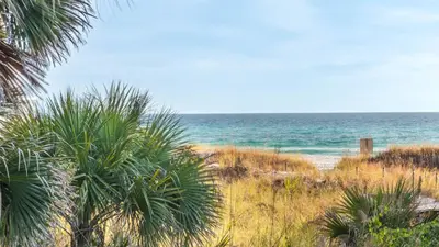 a beach with a palm tree and the ocean at Portside Resort V4 in Panama City Beach
