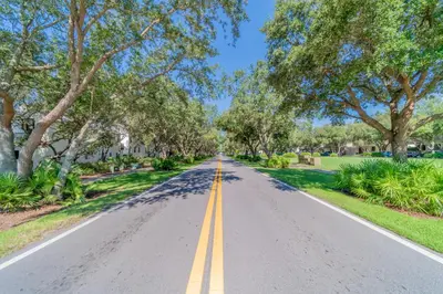 an empty road with trees on either side at Sand Piper l 4 Minute Walk to the Beach l Inlet Beach in Inlet Beach