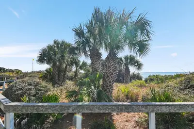 a palm tree on the side of a road at Be Still 30A in Santa Rosa Beach