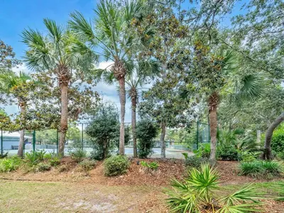 a group of palm trees in a park at Rise and Shine in Santa Rosa Beach