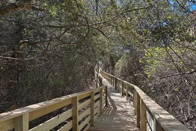 a wooden bridge in the middle of a forest at Beachside Villa 811 in Santa Rosa Beach