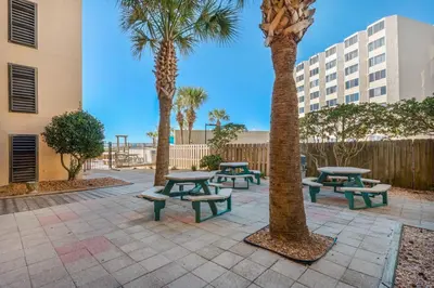 a group of picnic tables and palm trees in a courtyard at Moondrifter 205 in Panama City Beach