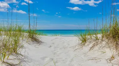 a beach with grass and the ocean in the background at Looking for a Shore Thing? Here it is! 2BR 25BA Sleeps 8! Beachfront! in Panama City Beach