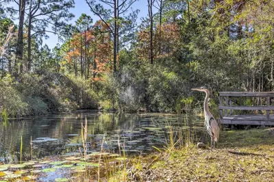 a bird standing next to a bench next to a pond at 30As Favorite Beach Condo- 6 min walk to the beach in Santa Rosa Beach