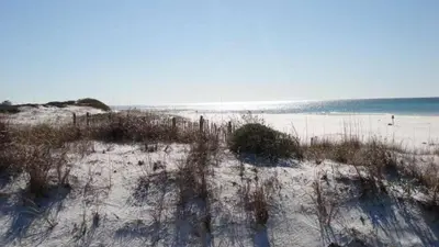 a beach with grass and weeds in the sand at High Pointe 431 Gulf Views in Rosemary Beach