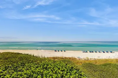 a group of animals on a beach with the ocean at Ideally located beachfront home with balcony washer&dryer AC & amazing views in Seacrest
