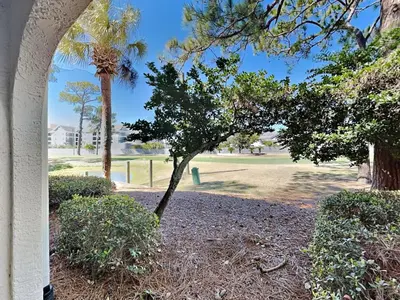 a tree in a park with a palm tree at Edgewater Villa #2001 in Panama City Beach