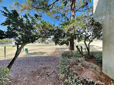 a group of trees sitting in a park at Edgewater Villa #2001 in Panama City Beach
