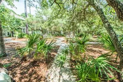 a path through a forest with trees and plants at Anchors Up in Watersound Beach