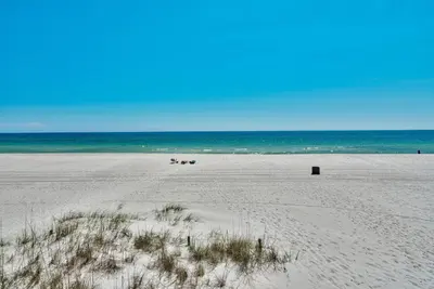 a beach with a group of animals walking on the sand at Pirate Cove Villa 117 - 825255 in Panama City Beach