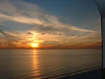 a group of birds flying over the ocean at sunset at Sunbird 0208W 'Surfside Sandcastle' in Panama City Beach