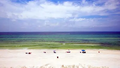 a group of people on a beach with the ocean at Mariner West 606 'Beach Happy' in Panama City Beach