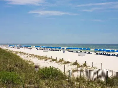 a beach with chairs and umbrellas and the ocean at Sterling Reef 802 in Panama City Beach
