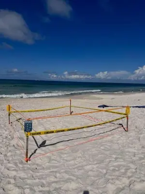 a volleyball net on a beach with the ocean at Beachcomber - Beachfront With Pool And Hot Tub - On The Beach! in Panama City Beach