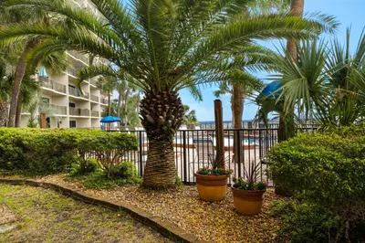 a palm tree in front of a fence with plants at Commodore 107 (2/2) in Panama City Beach