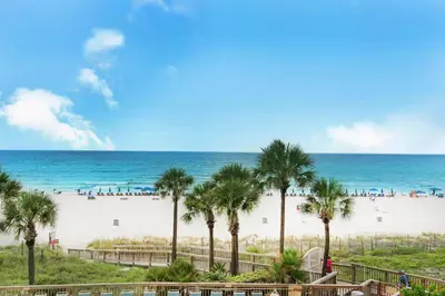 a view of a beach with palm trees and the ocean at Hidden Dunes 304 in Panama City Beach