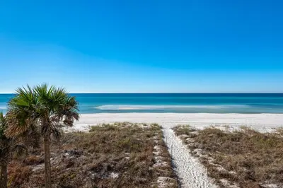 a beach with a palm tree and the ocean at 111 The Shores in Sunnyside