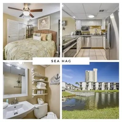 Sea Hag by Book That Condo