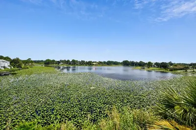 a large body of water with lots of plants at Sterling Breeze #1702 by Book That Condo in Panama City Beach