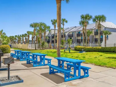 a row of blue picnic tables in a park with palm trees at Regency Towers Panama City Beach #719 in Panama City Beach