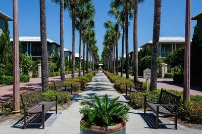 a pathway lined with palm trees and benches at Sunset Serenade in Rosemary Beach