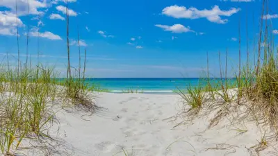 a beach with grass and the ocean in the background at Crab Cottage in Inlet Beach
