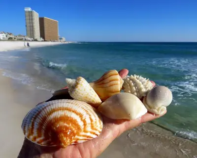 a hand holding seashells on the beach at Beach bliss awaits! - Beach, Pools, Tiki-Deck, Arcade, Putting green, Family Fun! in Panama City Beach