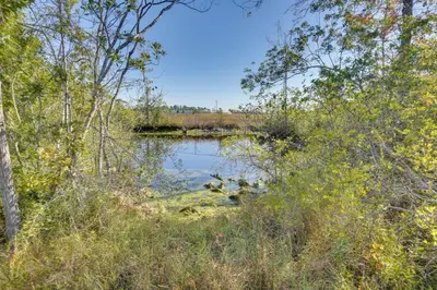 a pond with ducks swimming in the water at Southport Getaway with Private Pool about 15 Mi to PCB! in Southport