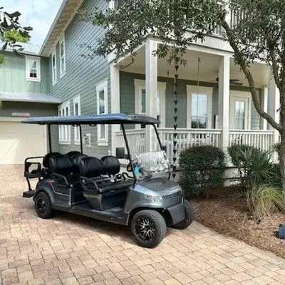 Pines and Palmettos