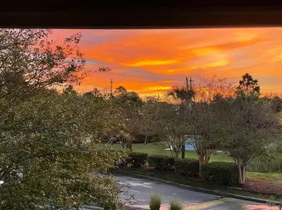 a sunset over a road with trees in a park at Happy Heron, Steps to Beach in Panama City Beach