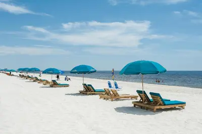 a row of beach chairs and umbrellas on a beach at Long Beach Resort 1-1203 in Panama City Beach