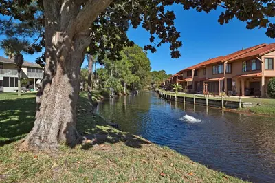a tree next to a river with houses at Gulf Highlands 220 in Panama City Beach