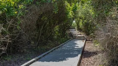 a wooden path through the trees on a boardwalk at Hidden Beach 228 in Santa Rosa Beach