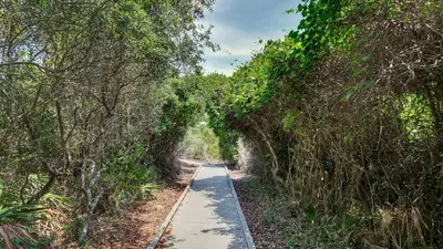 a path in the middle of a forest with trees at Hidden Beach 228 in Santa Rosa Beach