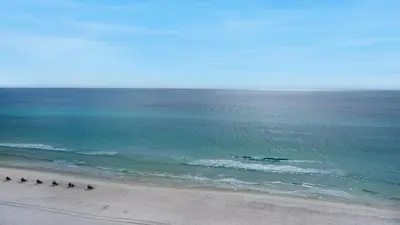 a group of birds walking along the beach at Beachcrest 902 in Santa Rosa Beach