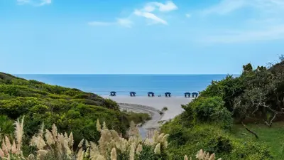 a group of elephants walking on the beach at Legacy 101 in Santa Rosa Beach