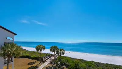 a view of a beach with palm trees and the ocean at Palms A12 in Santa Rosa Beach