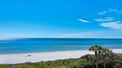 a view of a beach with palm trees and the ocean at Palms A12 in Santa Rosa Beach