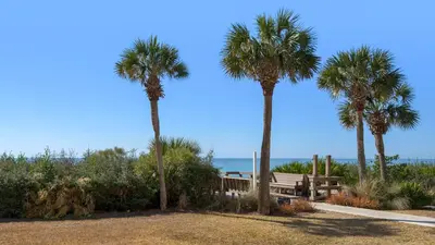three palm trees and a bench at the beach at Palms C4 in Santa Rosa Beach